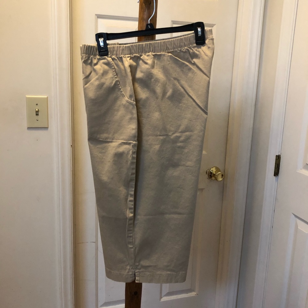 Crop pants size 2X